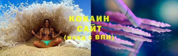 стаф Балахна