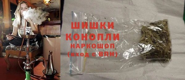 стаф Балахна